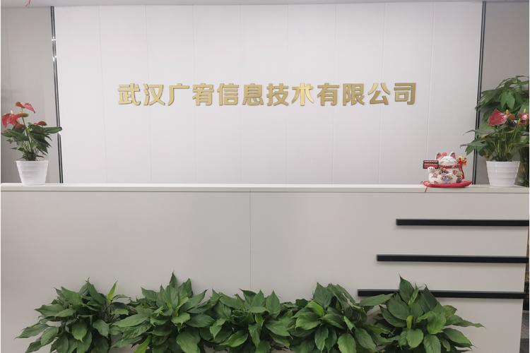 柳俊雄,公司经营范围包括:信息技术咨询服务;信息系统集成